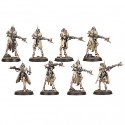 Skitarii Battle-Pilgrym Corpus (8 units)