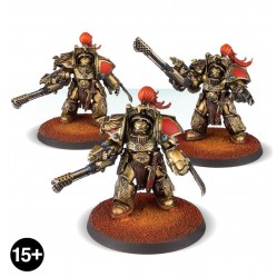 Aquilon Terminators with Infernus Firepikes